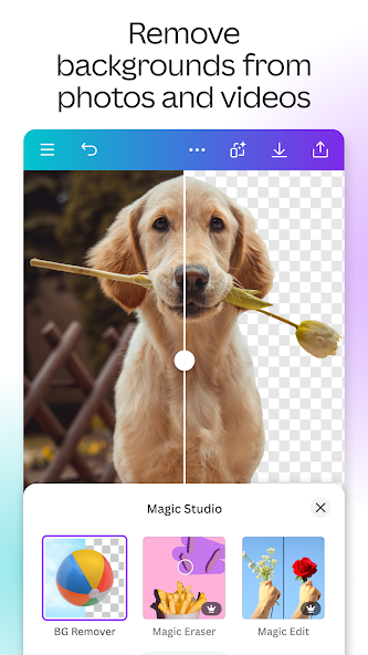 Canva Magic Studio AI