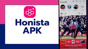 honista private instagram app