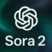 Sora app